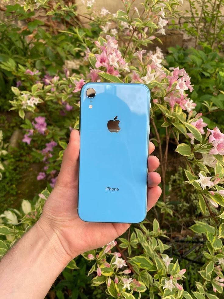 للبيع ‏iPhone Xʀ
الجهاز حيل نضيف 
بطاريه 100
ذاكره 128
فيس إيدي واكف
الجهاز كله شغال 
كامرات 
صوت 
سبيكر 
شبكه 
نضافه الجهاز 90
السعر 135
للستفسار ***********
