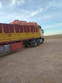 يوجد تبن مجروش بشرط النضافه وناعم مع توصيل بغداد صلاح الدين الانبار وي...