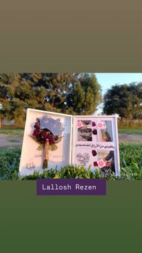 ورد ريزن • هدايا عيد الحب • توصيل لكل المحافظات