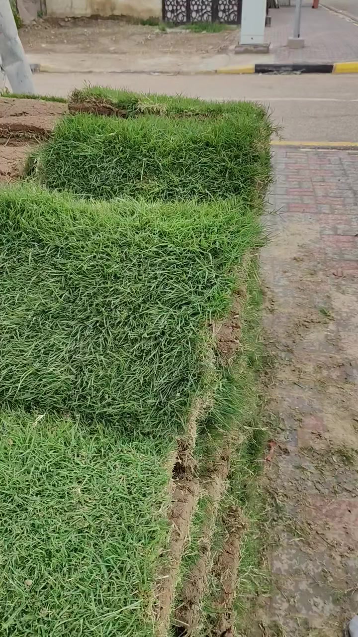 تم بعون الله....


**إذا كنت صاحب هذا الإعلان وتريد حذفه لأي سبب، رجاءا أرسل رسالة إلى الدعم الفني**