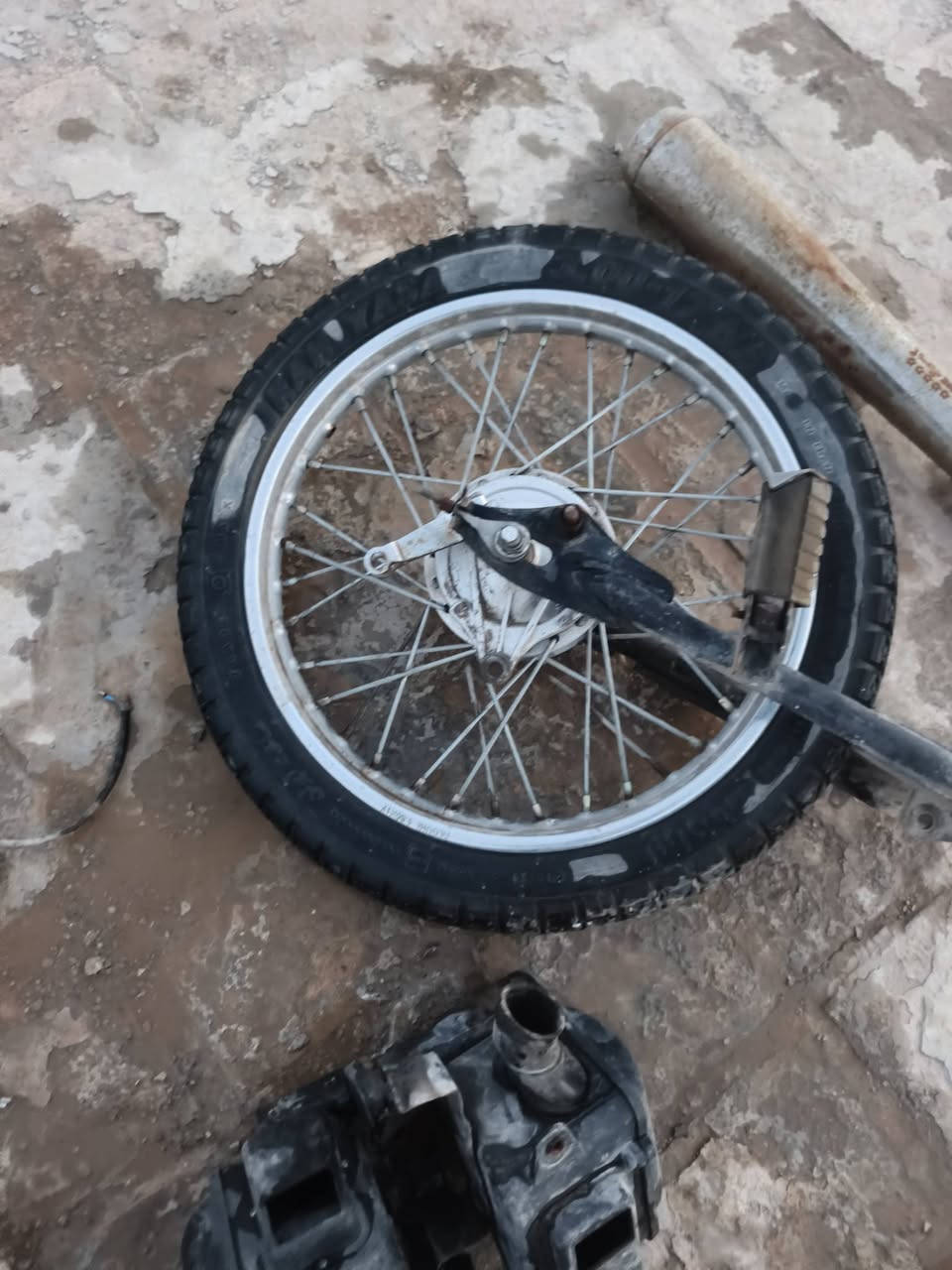 غراض 4كير 2025نضيفات بس لايحهن مطر وصاير بيهم زنجار شويه ينجلن يطلعن جدد وكلهن نضيفات او ما بيهن شي الشراي يراسلني لو يتصل عنوان نجف حي ميسان رقم الاتصال

 ***********
