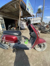 دراجة بوليس • مشي قليل • هور رجب