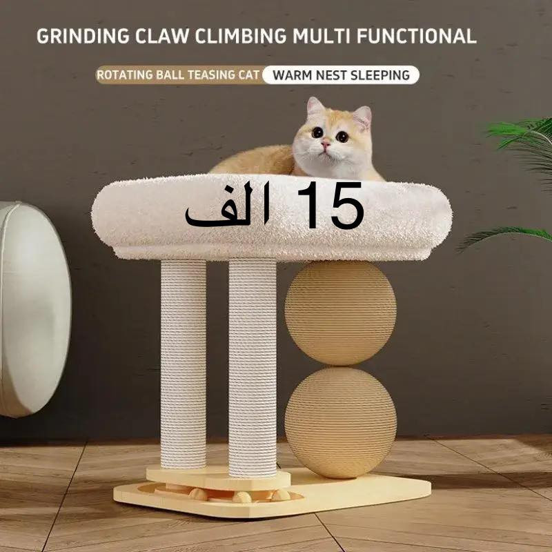 انسب الاسعار مستلزمات القطط والكلاب 
وي كل طلب هدية 
توصيل داخل بغداد وجميع المحافظات


**إذا كنت صاحب هذا الإعلان وتريد حذفه لأي سبب، رجاءا أرسل رسالة إلى الدعم الفني**