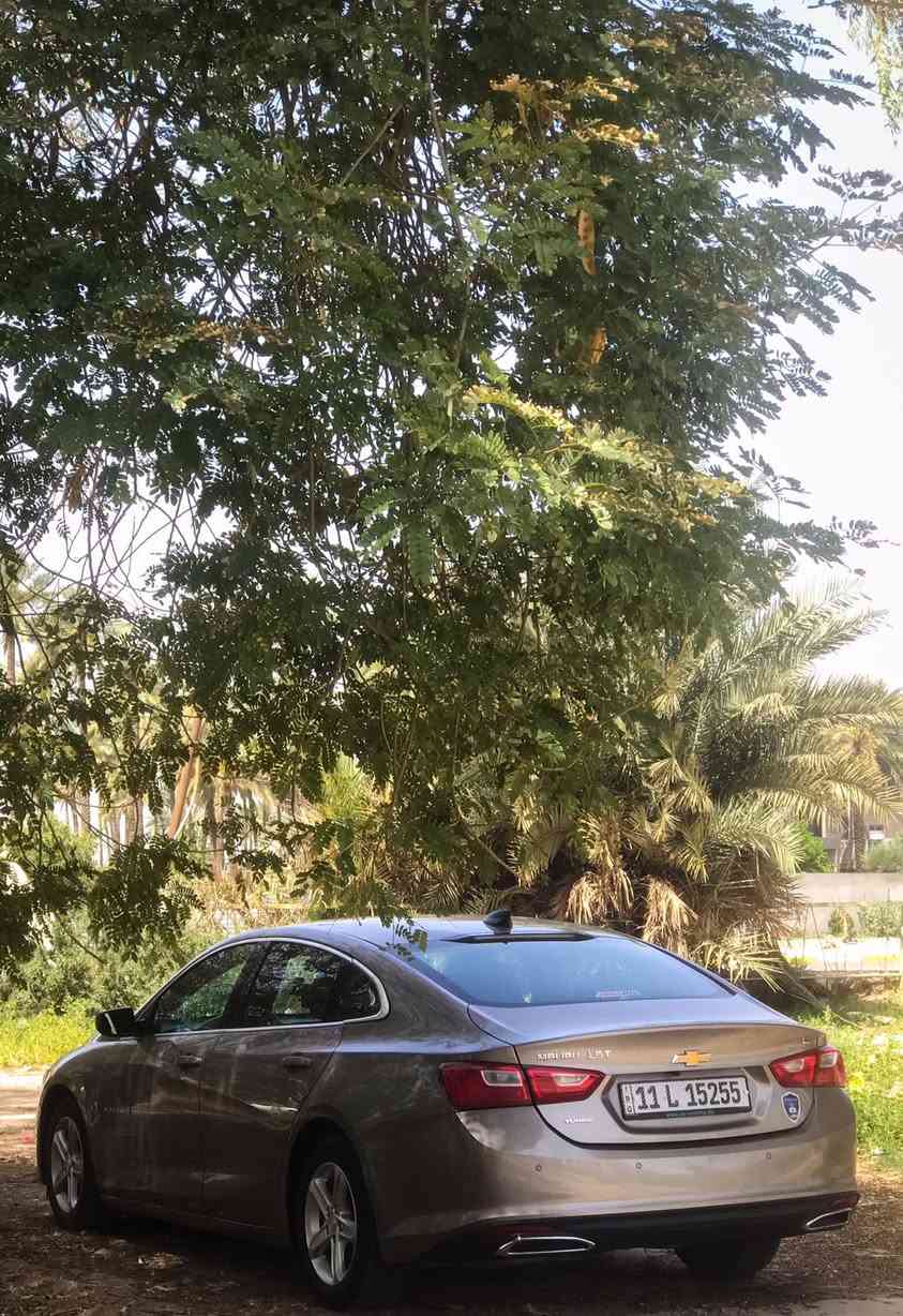 السلام عليكم أخواني الطيبين
اقرا التفاصيل كاملة الك بيها رغبة تشلع عيوني 
ماليبو LS
موديل 2022
لون ذهبي 
ماشيه 35 الف 
رقم بغداد 
مواصفات الماليبو العادية 
عليها اضافات 
شباك كامل XL BLACK 
دفيوزر خلفي 
سماعات تخم  ماركة BOSE
بك لايت تخم ضبابي إنارة رباعية
تخم تاير ياباني
السيارة متعوب عليها من ناحية التعمير والاعتناء 
وبحالة الوكالة من ناحية الميكانيك وداخل وخارج
تفاصيل الضرر 
بدون ايرباك بجم بكل تفاصيله سليم 
حادث نص جاملغ خلفي جهة السائق 
موضح بالصور وتبدل صندوق تفصيخ 
ونصبغ ومن امريكا كلير وصبغ صفحة الثانية
ومقدار أصبع شخط بجاملغ سايق على وضعه 

السعر 136 
وبي مجال والسوك كلشي بي 
فلوسك عندك وسيارتي عندي 
والتوفيق للجميع ان شاء الله 
مكاني بغداد 
للإتصال ‭٠٧٧١ ٢٤١ ٣٢١١‬
