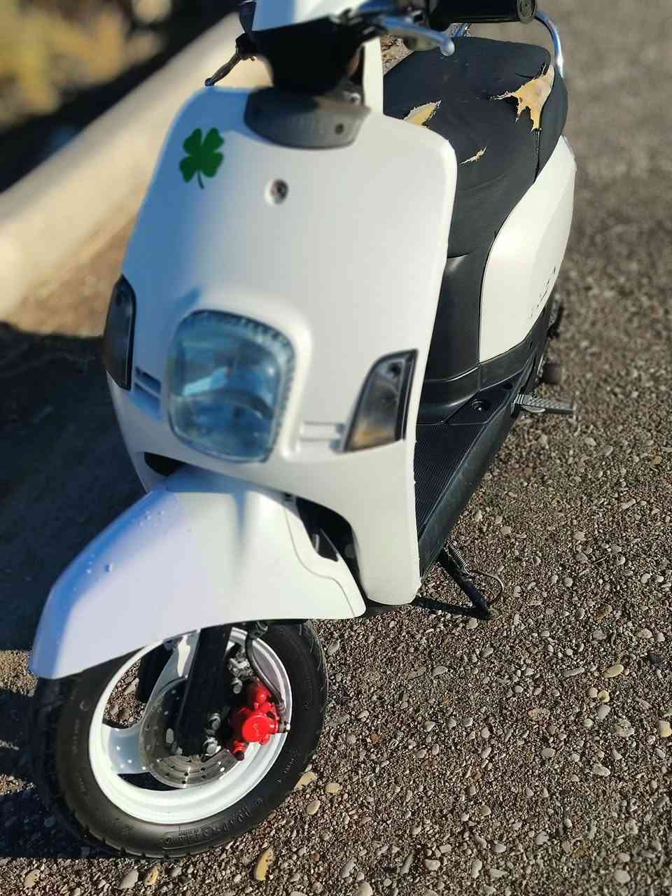 سلام عليكم ماكس بوليسي موديل 20008دراجه صاله شهرين من مطلعه من رمبه كفاله من لبرغي لا تبغير ولا تنقيص كفرات ختم دراجه عله وضع البلاد جيب فيتر وتجي تفحص السعر المطلوب مليون وميه وخمسين وبيه مجال خاص مفتوح


**إذا كنت صاحب هذا الإعلان وتريد حذفه لأي سبب، رجاءا أرسل رسالة إلى الدعم الفني**