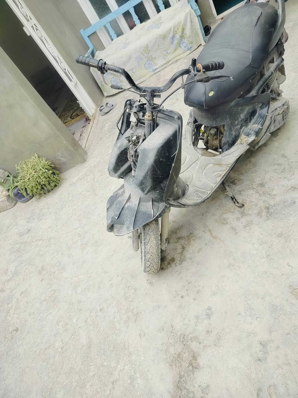 السلام عليكم حبايب فراشة فحل للبيع سعر 175 عنوان قرية غدير تواصل خاص مفتوح وهذه رقمي ***********
