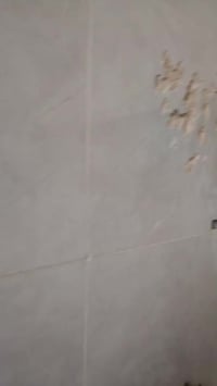 خلفة سيراميك أرضية و جدران شرط شغل درجة أولى اتصال على الرقم 077300255...