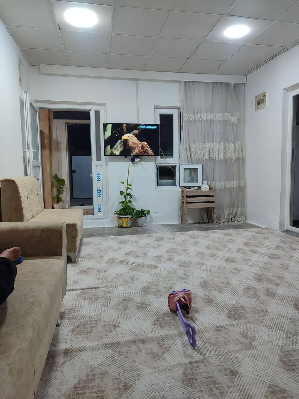 ٢ کومباری ژێر لاستیک 
هەڵەبجەی شەهید 
٣/٤و ٤/٤ن 
نرخیان ١٠٠ هەزار و معامەلە  
پێکەوە دەیفرۆشێت


**إذا كنت صاحب هذا الإعلان وتريد حذفه لأي سبب، رجاءا أرسل رسالة إلى الدعم الفني**