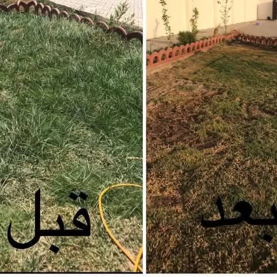 وجبة جديدة #عرض_خاص 
مبيد #كاسبر للقضاء على اعشاب #الثيل و السعد والاعشاب الضارة في الثيل
(((( سعر العلبة ٣٥،٠٠٠ الف #التوصيل_مجاني))
 منتج #مضمون 💯 
‏‎طريقة الاستخدام :
يخلط المبيد مع ٣٠ لتر ماء ويرش على الثيل
يجب تكون الاعشاب كبيرة و غير مقصوصة 
ويجب عدم سقي الثيل يوم الرش 
وترك الثيل بدون قص لمدة 15 يوم بعد الرش ليصل المبيد الى جذور الاعشاب. 
#ملاحظة
 عدم رش الازهار والاشجار فقط الثيل لان المبيد يقضي على كل شي ماعدا الثيل. 

#يوجد_توصيل_لجميع_المحافظات 🚖 
#للاستفسار_و_الحجز_مراسلة_الصفحة


**إذا كنت صاحب هذا الإعلان وتريد حذفه لأي سبب، رجاءا أرسل رسالة إلى الدعم الفني**