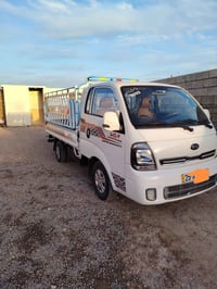 حمل • ٢٠٢٢ • كركوك الحويجه