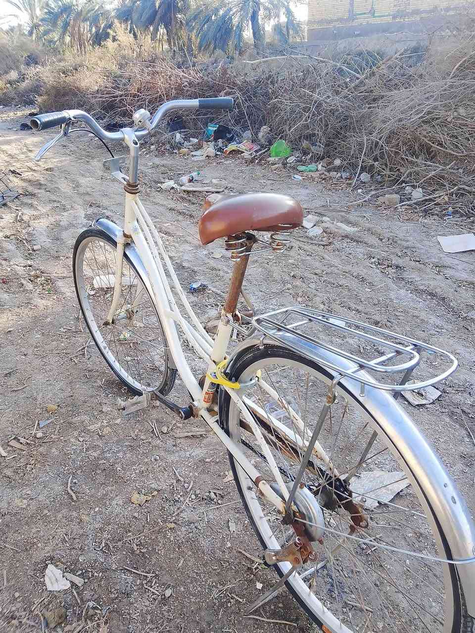 سلام عليكم باسكل 26حلو كلش مكاني سوك شيوخ سعر مناسب  ***********
