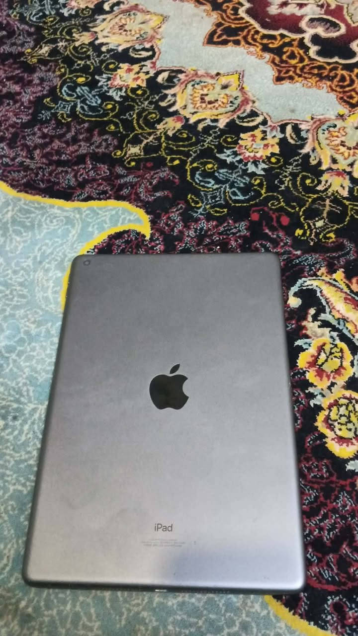 ايباد 9 لبيع ب 350 وبيه مجال قليل مكاني الديوانيه الشافعيه قريه سيد 0779851725


**إذا كنت صاحب هذا الإعلان وتريد حذفه لأي سبب، رجاءا أرسل رسالة إلى الدعم الفني**