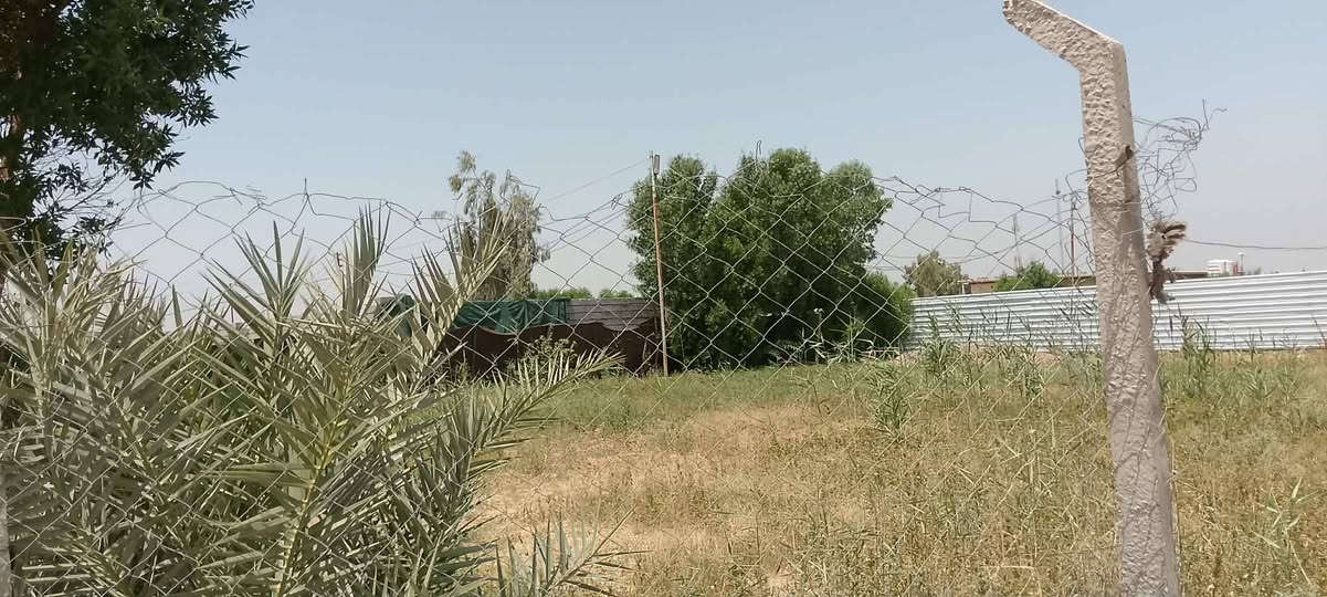 سلام عليكم دونم باسمي تحويل مباشر طابو المحموديه سند 25  موقع ناحيه الرشيد صخريجه متوفر ماء وكهرباء جاهز حديقه  بي منزل مساحه 200متر بناء حديث السعر 160 وبي مجال رقمي***********
