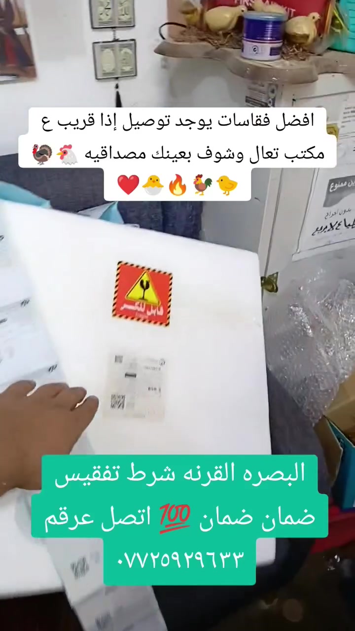 مكتب البيادر البصره القرنه 🦃🐣🐓🐔🔥
يوجد كافه فقاسات الدجاج وشرط الضمان الصيانه والتفقيس أقوى فقاسات متوفره 🐣🐤 اتصل عرقم وتدلل ***********
يوجد توصيل

