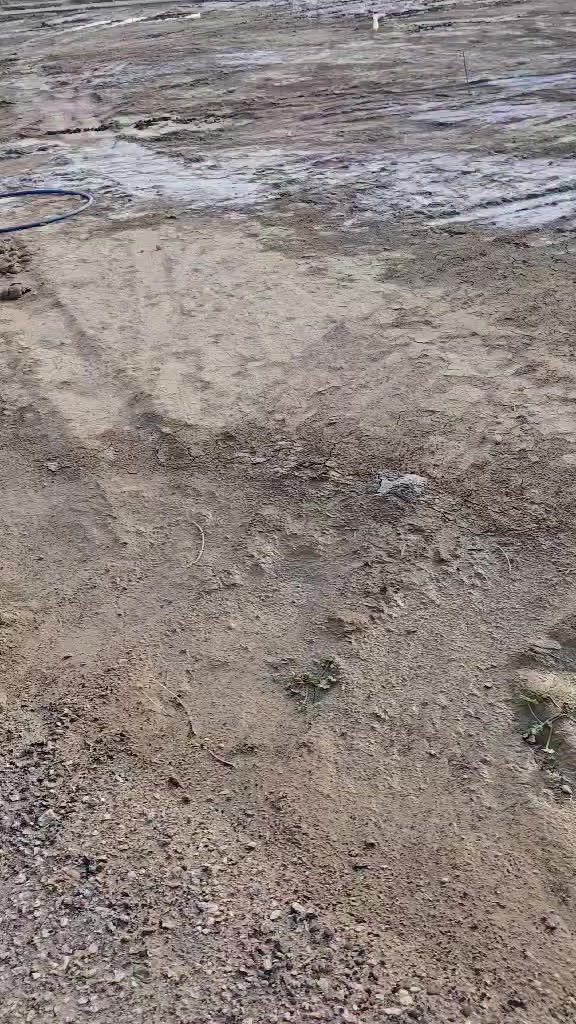 عرصة طابو زراعي المساحة 100متر 5 في 20 قضاء الشامية على طريق الديوانية للاستفسار الاتصال على صاحب الارض حصرا
***********
