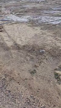 طابو زراعي • ١٠٠م • قضاء الشامية