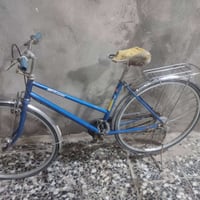 بسكليت • بصره