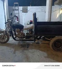 ستوته • بدون وراق • مديل 18