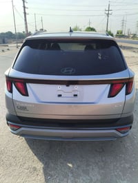 توسان • ٢٠٢٥ • وارد امريكي