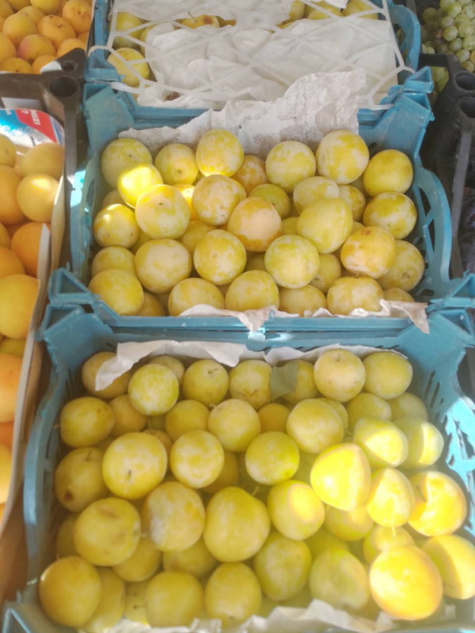 اللهم صل على محمد وال محمد 
مسواق اليوم جديد ومناسب 
***********
طماطه 500
رقي 500
بطيخ 500
طرح 500
باذنجان 750 
بصل 750 
خيار 750
بتيته 750 
توم وزن 4000
تفاح عراقي 1000
شجر 1250
بانيا 1500
فلفل حار 2000
فلفل بارد 1500
ليمون 2500
برتغال مصري 1250
تفاح احمر 1000
مشمش 2000
الو اصفر 1500
الو حمراء 2000
موز 1500
خوخ مسكي 200
عنب اسود 1250
