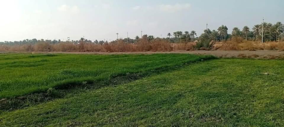 مساحات مختلفة واجواء ريفية نقية وهادئة 

بعيداً عن ضجيج المدينة طابو زراعي سند 25 

للأستفسار الأتصال ***********
