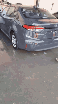 السلام عليكم كورولا موديل 2024
دخول جديد قبل بومين دخلت ترقيم جديد البارحه رقمتها 
بيها قطعتين 
باب السكن بصف السائق تبديل تفصيخ 
وبيها الباب الخلفي بي تصليح وصبغ 
بيها بعض الرصعات خفيفه 
صور الحادث وصور الإمارت بدون رقم صوره الشاصي ويا المنشور 
وهاي كل تفاصيل السياره 
ماشيه 40700كم تقريباً 
داخل مخمل 
تحكمات استيرن 
كامره 
رادارات 
وبعد مواصفات والله ما أعرف بيها 
مكفولة من محرك وكير وصدر وتايرات ودواخل وبجم وصندوك كله جديد وضع شركه 
مكانها بغداد البلديات قرب الشقق الفلسطينية 
***********
السعر 165$ وبها شي بسيط
