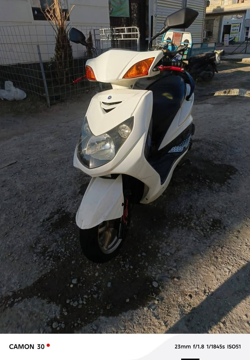 سلام عليكم سكنس فحل البيع فوال موصفات برغي مابيه نقص جيب ويك الف فيتر افحص واخذ بيه تزويد قليل السعرة مليون ٣٥٠ وبيها مجال الطيبن لاتصال على الرقم ***********
