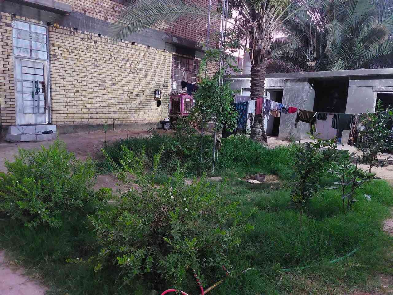 اعات النشر بسبب  الوعد كاذبه  السلام عليكم  المساحه ٧٠٠ متر يتكون من بيتين يبعد عن الشارع ١٠٠ متر تحويل مباشر سند 25 ,
تفاصيل البيت لأول طابوك الصقف صب كونكريت معه غرفتين نوم وحده فوك وحده جوه معه صاله وستقبال ومطبخ معه كراج ٣٠ متر معه حديقه كبيره البيت ٢ يتكون البيت من غرفتين نوم معه صاله معه مطبخ البناء بلوك والصقف كونكريت الموقع نهايت حي عدنان بزراعي عله الشارع البوعبدالله السعر 225  مليون وبيهن مجال قليل الشراي يتصل رقمي ***********
