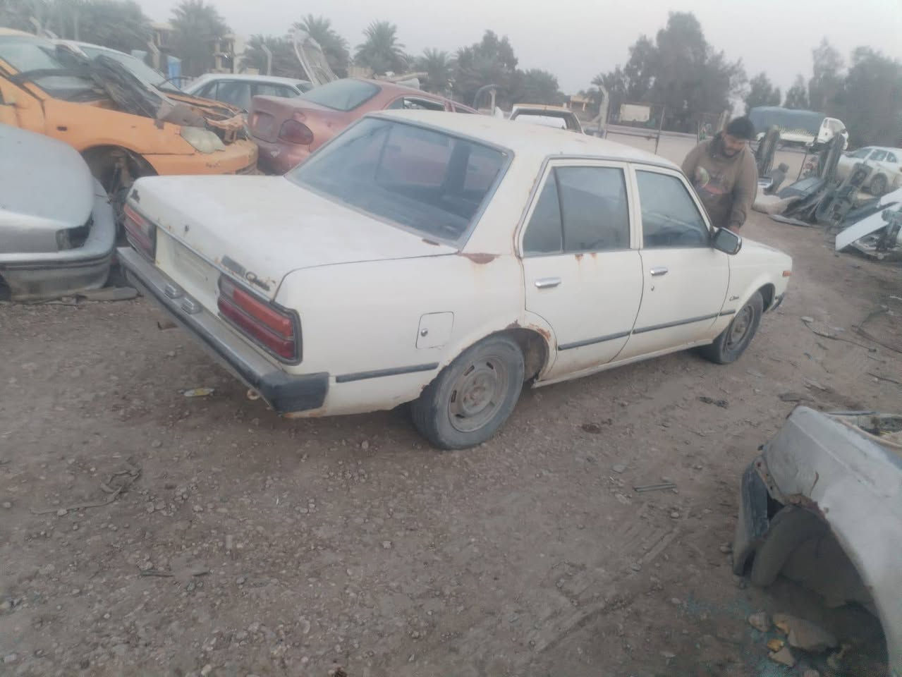 كرونة تفصيخ مكان بابل مشروع لمسيب تقاطع أبو لجاسم ‏‪***********‬‏
