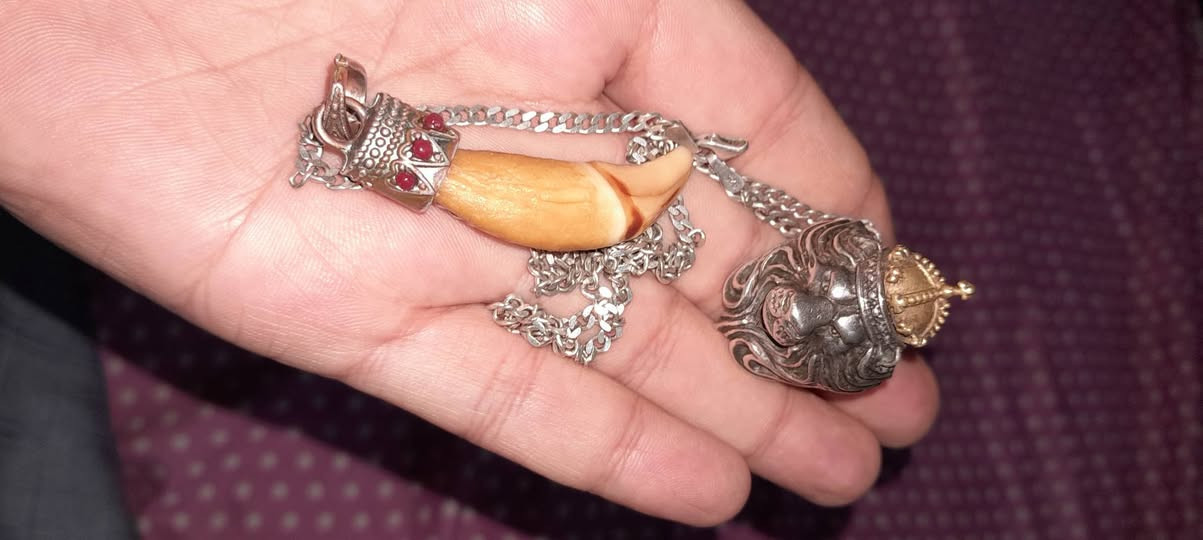 السلام عليكم عندي راس الاسد ثكيل وفضه بالكامل التاج طلاء + زنجيل مكطوع ايضا فضه 925… ..وسن الذيب شرط اصلي 100%100 وين متريد ودي ابيعهن هيج بدون وزن ماموزنهن بياع شراي لتجي وتكسر رايدهن شلع ب250 الف قفلهن الجاد يتمم خاص عندي توصيل لكل المحافضات


**إذا كنت صاحب هذا الإعلان وتريد حذفه لأي سبب، رجاءا أرسل رسالة إلى الدعم الفني**