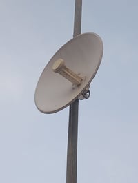 نانو • شغال • بيه مجال