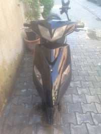 ثعلب • نضافه • مكفول