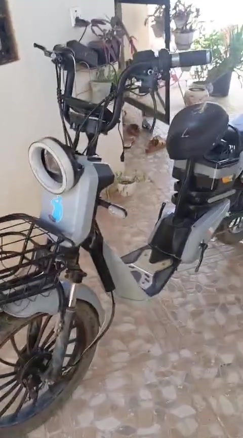 للبيع دراجه موديل 2024 كل شي مابي ناقصه بس بريك شاحنته ويه السعر 250


**إذا كنت صاحب هذا الإعلان وتريد حذفه لأي سبب، رجاءا أرسل رسالة إلى الدعم الفني**