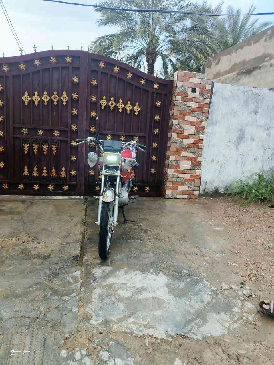 سلام عليكم تايكر 21
دراجه كفاله عامه دراجه محمدثه 23
دراجه شلعه نعدل تاكل لكاع 
السعر 400وبيه مجال للشراي 
لمو شراي ليتعبني شراي اتصل 
***********
