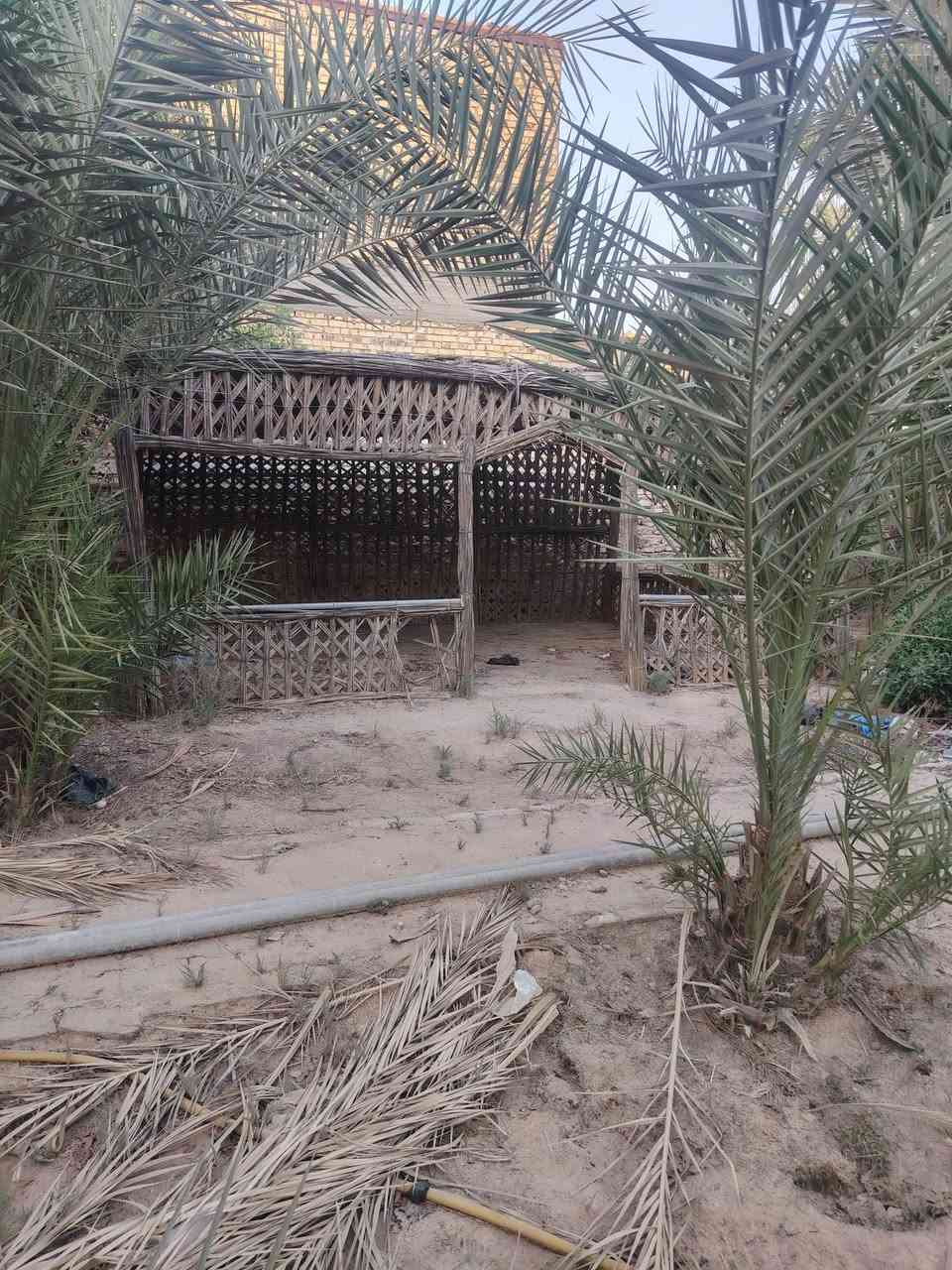 اكرر النشر بسبب الوعود الكاذبه مزرعه للبيع مسيجه حجر ومرتبه ومكان راقي كلش مساحته ١٣٣٥ متر منطقه هدوء وكافة الخدمات قريبه تبعد عن الشارع ٥٠ متر طابو ٢٥ مدوار بسمك بيه بيت صغير مرتب وبيه اشجار . العنوان الكوفه البراكيه شارع المطار القديم الاستفسار اكثر اتصل وتدلال  *********** @ ***********
