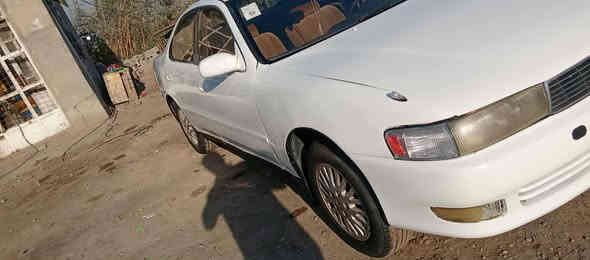 السلام عليكم
تويوتا كرستا موديل 94 مكينه ونجي ناعم كفاله گير ومكينه حداديه جديده مكفوله من الگص والضربه رقم انبار مداور ثاني يوم سنويه ل26 . سعر 50وبيها مجال  
للاستفسار .***********
