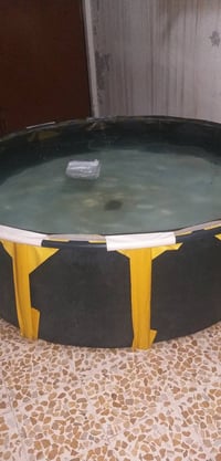 مسبح • مسبح للبيع • حوض سباحة • مسبح منزلي • مسبح اطفال • مسبح صغير • ...