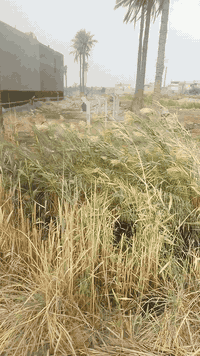 قطع للبيع حي الرضى المساح 200م طابو زراعي تحويل مباشر ***********
***********اؤ ***********
