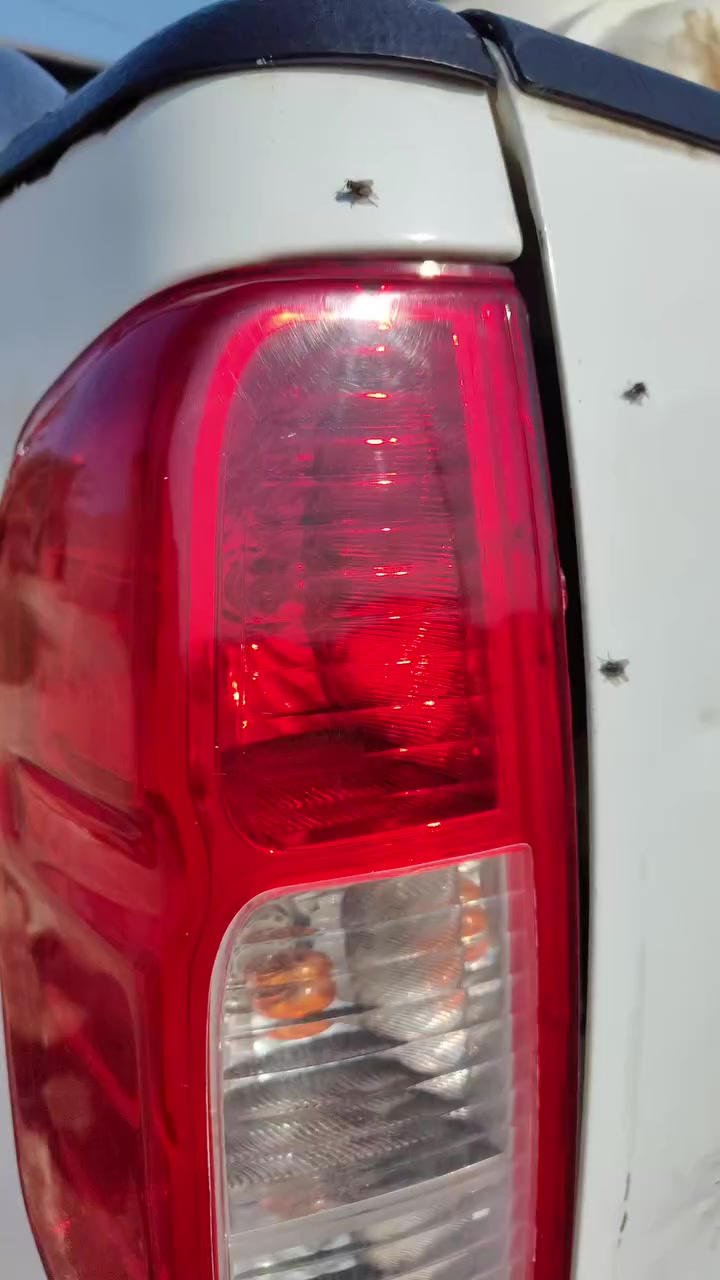 سلام عليكم نيفاره للبيع موديل 2012كفاله عامه ما عده بارد ب العبري الايمن مكان ناصريه *********** السعر 120وبيه مجال
