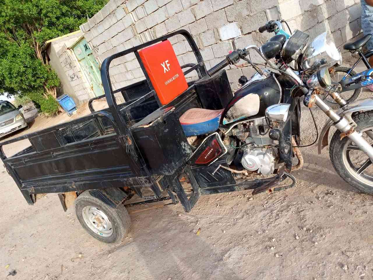 لبيع كلك مكفوله عن سرقه ليريده بي خير ويدلل السعر 500 وبيها مجال  ***********
