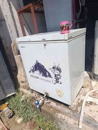 مجمدة • حنفية • قضاء الفجر