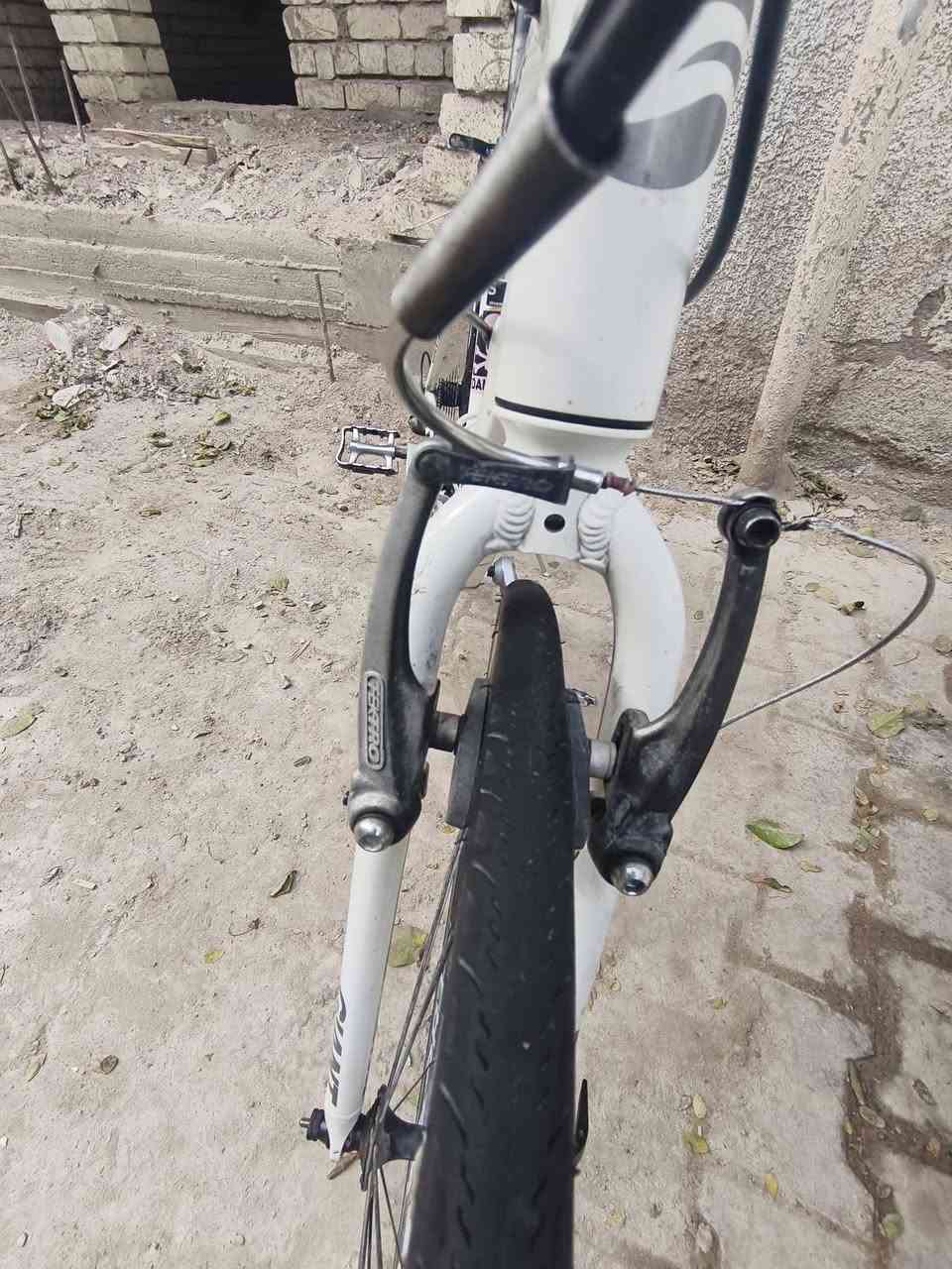 بايسكل GIANT
ESCAPE RX 
المنيوم ريشه 
حجم S 
سستم التوس حديث 3*9 
بريكات تكترو 
تايرات كندا جدد
البايكسل كله مختم ستيرن جاينت قبضات جاينت 
مكاني بغداد جسر الكريعات 
السعر 165 الف بي مجال بسيط
فقط بيع بدون مراوس
تواصل ***********
