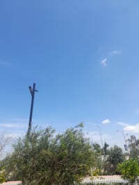 توجد عيادة قلع للجذور المتبقية و الأسنان المتحركة  و تعويضها بطقم متحر...