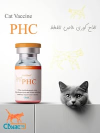 عيادة بيطرية • مستلزمات قطط • كنعان