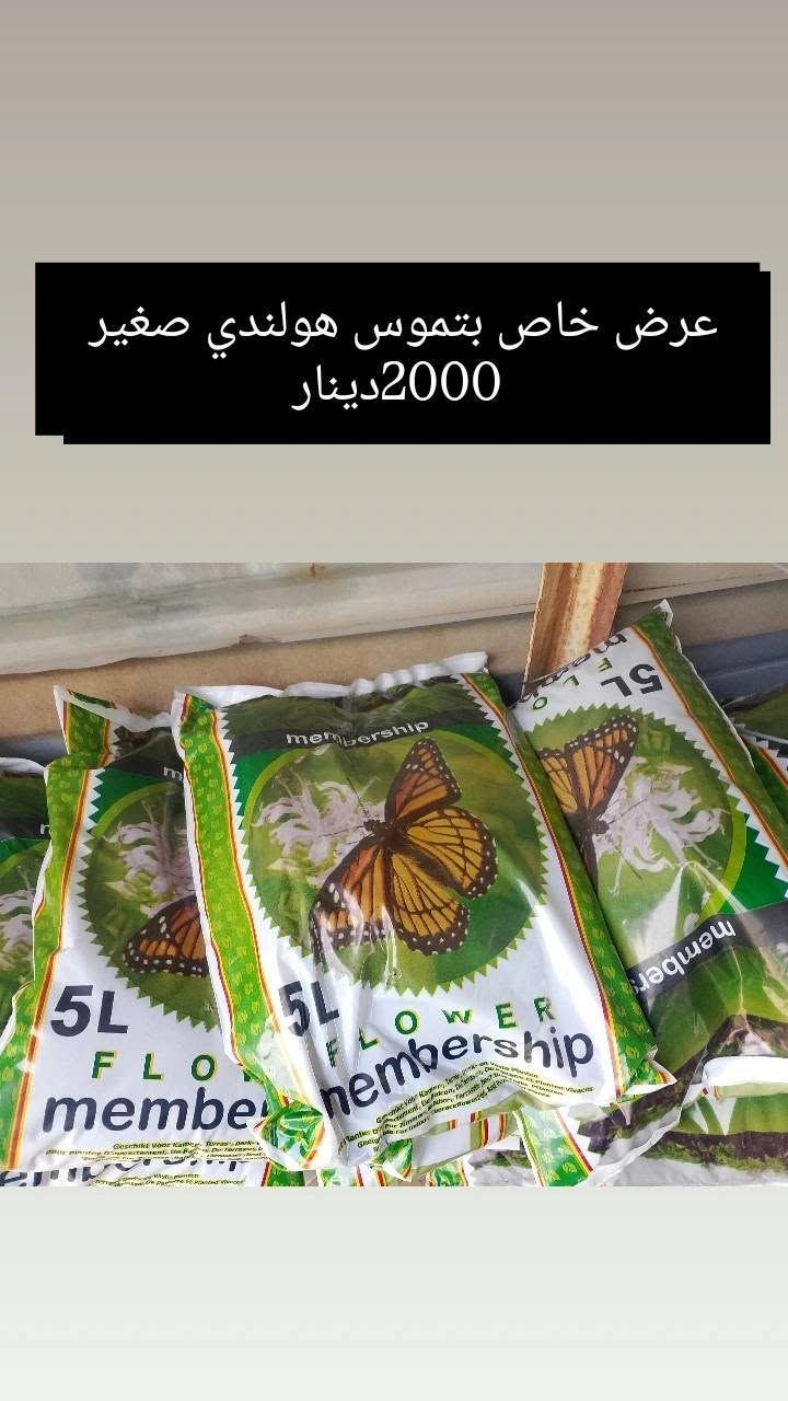 (بسم الله))
((مشتل الأنوار))🌻🌷🌵
يعلن مشتل الأنوار عن توفر كافة النباتات الزينه والحمضيات داخل المشتل وبأسعار تنافسيه 🔥🔥
زورونأ في العنوان الدائم🔥🔥
العنوان الصويره الشارع العام مطعم هنداس مجاور مجمع أبو زهراء للسيراميك 🔥🔥 
للتفاصيل اكثر داخل الصور 
ويوجود خدمه توصيل  🚛 🚚 🚗


**إذا كنت صاحب هذا الإعلان وتريد حذفه لأي سبب، رجاءا أرسل رسالة إلى الدعم الفني**