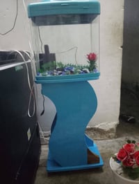 حوض سمك • زينة • شراي خاص