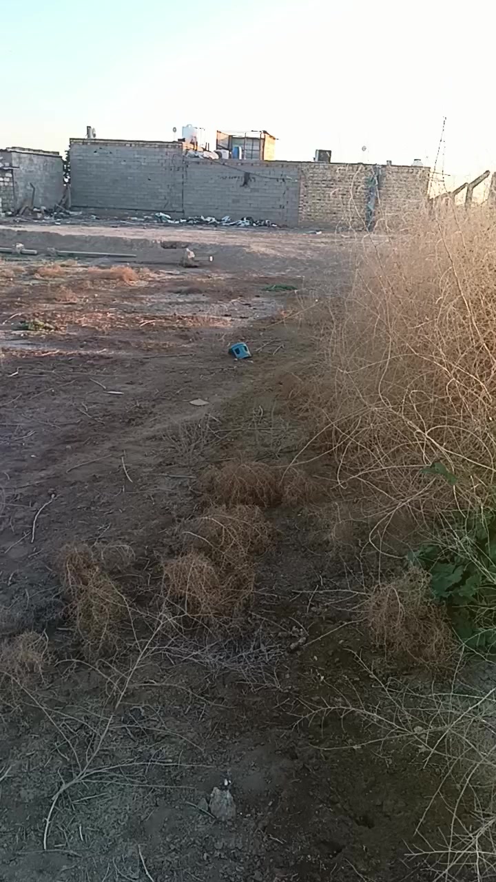 السلام عليكم كاع زراعية للبيع خلف طاقة الكهرباء قريبة على طريق الزوار 500م عن طريق الزوار المساحة 1000م مربعة شارعها 10م مسيجة يتوفر كافة الخدمات ماء كهرباء مولدة قريب عليها العنوان ديوانيه قريبه الخدم الجديد خلف الطاقه قريبه على نزل السامي انا حمد***********##@***********
