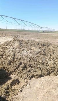 سماد البيع 07833371021