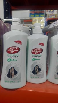 شامبو • لايف بوي