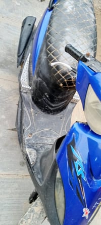 ماكس • الزعفرانية • بغداد